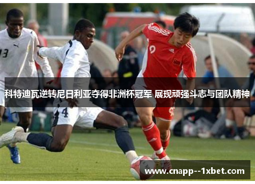 科特迪瓦逆转尼日利亚夺得非洲杯冠军 展现顽强斗志与团队精神 科特迪瓦逆转尼日利亚夺得非洲杯冠军 展现顽强斗志与团队精神